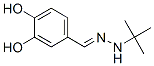 Benzaldehyde, 3,4-dihydroxy-, (1,1-dimethylethyl)hydrazone (9CI) Structure