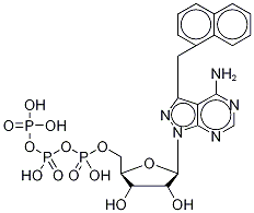 4-Amino-3-(1-naphthylmethyl)-1H-pyrazolo[3,4-d]pyrimidine-1-(β-D-ribofuranosyl-5’-triphosphate)|