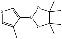 4-메틸티오펜-3-보론산피나콜에스테르
