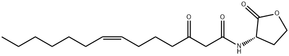 N-3-oxo-tetradec-7(Z)-enoyl-L-Homoserine lactone,482598-46-9,结构式