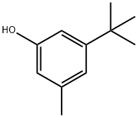 5-tert-butyl-m-cresol|5 - 叔丁基对甲酚