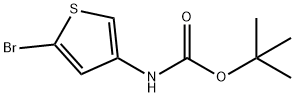 3-N-BOC-アミノ-5-ブロモチオフェン 化学構造式
