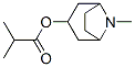 托品醇异丁酯,495-80-7,结构式