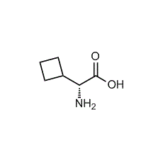 D-Cyclobutylglycine price.