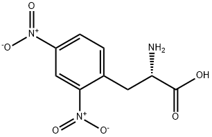 2,4-dinitro-3-phenyl-L-alanine 