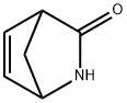 2-氮杂双环[2.2.1]庚-5-烯-3-酮,49805-30-3,结构式