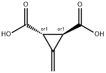 3-메틸렌사이클로프로판-트랜스-1,2-디카르복실산