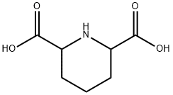 2,6-piperidinedicarboxylic acid Structure