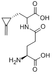 2-(L-γ-グルタミル)アミノ-3-(2-メチレンシクロプロピル)プロピオン酸 化学構造式