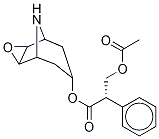 [7(S)-(1α,2β,4β,5α,7β)]- α-[(Acetyloxy)Methyl]-benzeneacetic Acid 3-Oxa-9-azatricyclo[3.3.1.02,4]non-7-yl Ester 结构式