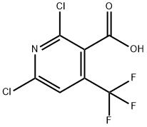 503437-19-2 2,6-ジクロロ-4-(トリフルオロメチル)ニコチン酸