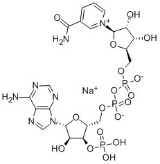 3'-NADP나트륨염