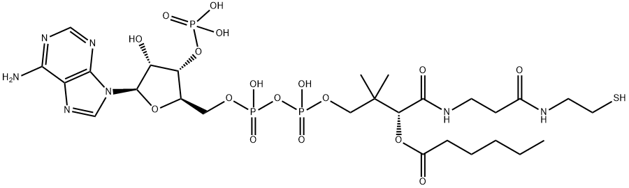 [(2R,3R,4R,5R)-5-(6-aminopurin-9-yl)-2-[[[[3-[2-(2-hexanoylsulfanylethylcarbamoyl)ethylcarbamoyl]-3-hydroxy-2,2-dimethyl-propoxy]-hydroxy-phosphoryl]oxy-hydroxy-phosphoryl]oxymethyl]-4-hydroxy-oxolan-3-yl]oxyphosphonic acid Struktur