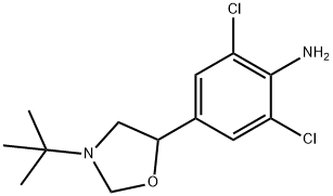 CYCLO-CLENBUTEROL