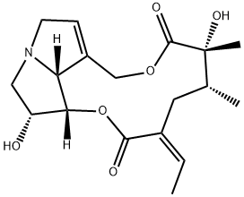 anacrotine Struktur
