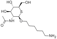 6-AMINOHEXYL-N-ACETYL-B-D-THIOGLUCOSAMIN IDE|