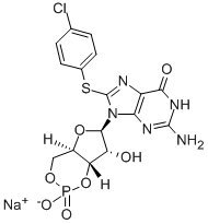 8-(4-CHLOROPHENYLTHIO)GUANOSINE 3',5'-CYCLIC MONOPHOSPHATE SODIUM SALT|8-(4-硫代氯苯基)鸟苷3′,5′-(环状)单磷酸盐固体