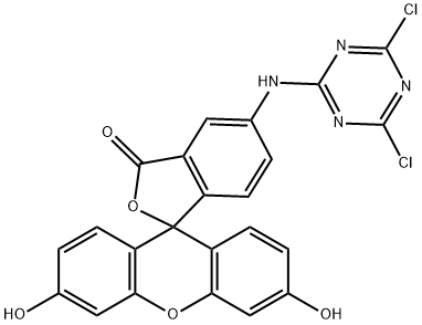 5-(4,6-DICHLORO-S-TRIAZIN-2-YLAMINO)FLUORESCEIN-HYDROCHLORIDE|5-(4,6-二氯三嗪)氨基荧光素