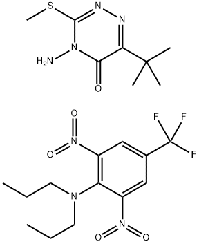 SALUTE Structure