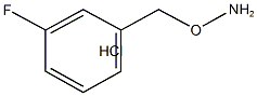 O-[(3-氟苯基)甲基]羟胺盐酸盐,51572-90-8,结构式