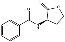 N-(2-OXOTETRAHYDROFURAN-3-YL)BENZAMIDE Structure