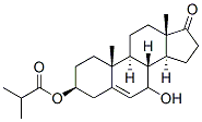 Androst-5-en-17-one,7-hydroxy-3-(2-methyl-1-oxopropoxy)-,(3beta)-(9CI) 化学構造式