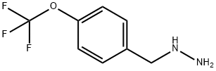 51887-20-8 4-三氟甲氧基苄肼