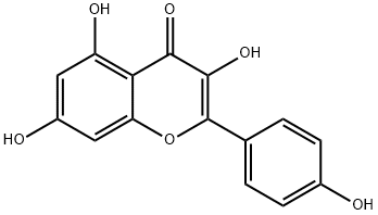 Kaempferol