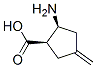 (1R,2S)-2-amino-4-methylidene-cyclopentane-1-carboxylic acid 化学構造式