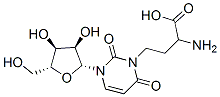 3-(3-amino-3-carboxypropyl)uridine|