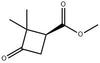Cyclobutanecarboxylic acid, 2,2-dimethyl-3-oxo-, methyl ester, (1S)- (9CI) Struktur