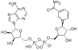 烟酰胺腺嘌呤双核苷酸,53-84-9,结构式