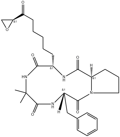 2-メチルシクロ[Ala-L-Phe-D-Pro-6-[(S)-2-オキソ-2-オキシラニルエチル]-L-Nle-] 化学構造式