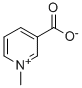 1-Methylpyridinio-3-carboxylat