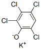 2,3,4,6-tetrachlorophenol, potassium salt Structure