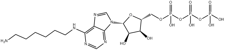 N(6)-aminohexyladenosine triphosphate,53602-93-0,结构式