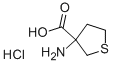 3-氨基-四氢-噻吩-3-甲酸盐酸盐 结构式