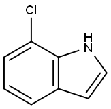 7-Chloroindole price.