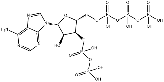 adenosine 5'-triphosphate 3'-diphosphate Struktur