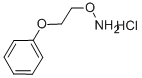 1-[2-(AMMONIOOXY)ETHOXY]BENZENE CHLORIDE, 5397-72-8, 结构式