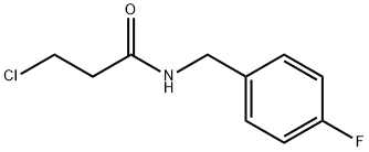 3-CHLORO-N-(4-FLUORO-BENZYL)-PROPIONAMIDE price.