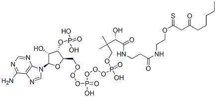 54684-64-9 S-[2-[3-[[4-[[[(2R,3S,4R,5R)-5-(6-aminopurin-9-yl)-4-hydroxy-3-phosphonooxyoxolan-2-yl]methoxy-hydroxyphosphoryl]oxy-hydroxyphosphoryl]oxy-2-hydroxy-3,3-dimethylbutanoyl]amino]propanoylamino]ethyl] 3-oxooctanethioate