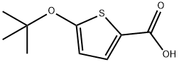 5-tert-ブトキシチオフェン-2-カルボン酸 化学構造式