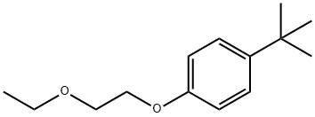 1-tert-Butyl-4-(2-ethoxyethoxy)benzene Struktur