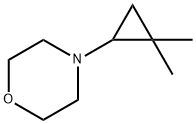 Morpholine,  4-(2,2-dimethylcyclopropyl)- 结构式