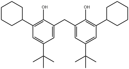 55252-55-6 2,2'-methylenebis[4-tert-butyl-6-cyclohexylphenol]