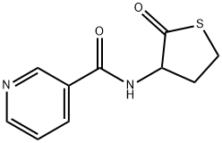 homocysteine-thiolactone-nicotinamide|