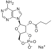 2'-O-MB-CAMP SODIUM SALT Structure