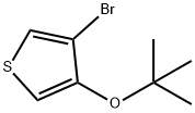 4-Bromo-3-tert-butoxythiophene Struktur
