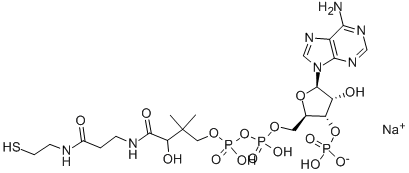 アデノシン3'-りん酸5'-[二りん酸P2-[3-[[2-[(2-メルカプトエチル)カルバモイル]エチル]カルバモイル]-3-ヒドロキシ-2,2-ジメチルプロピル]]/ナトリウム 化学構造式